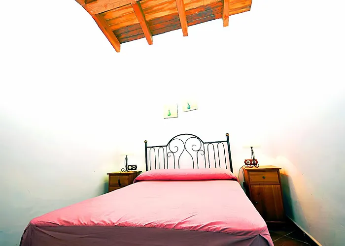 Vacacionales Piscina Y Jardin Privado Casa vacanze